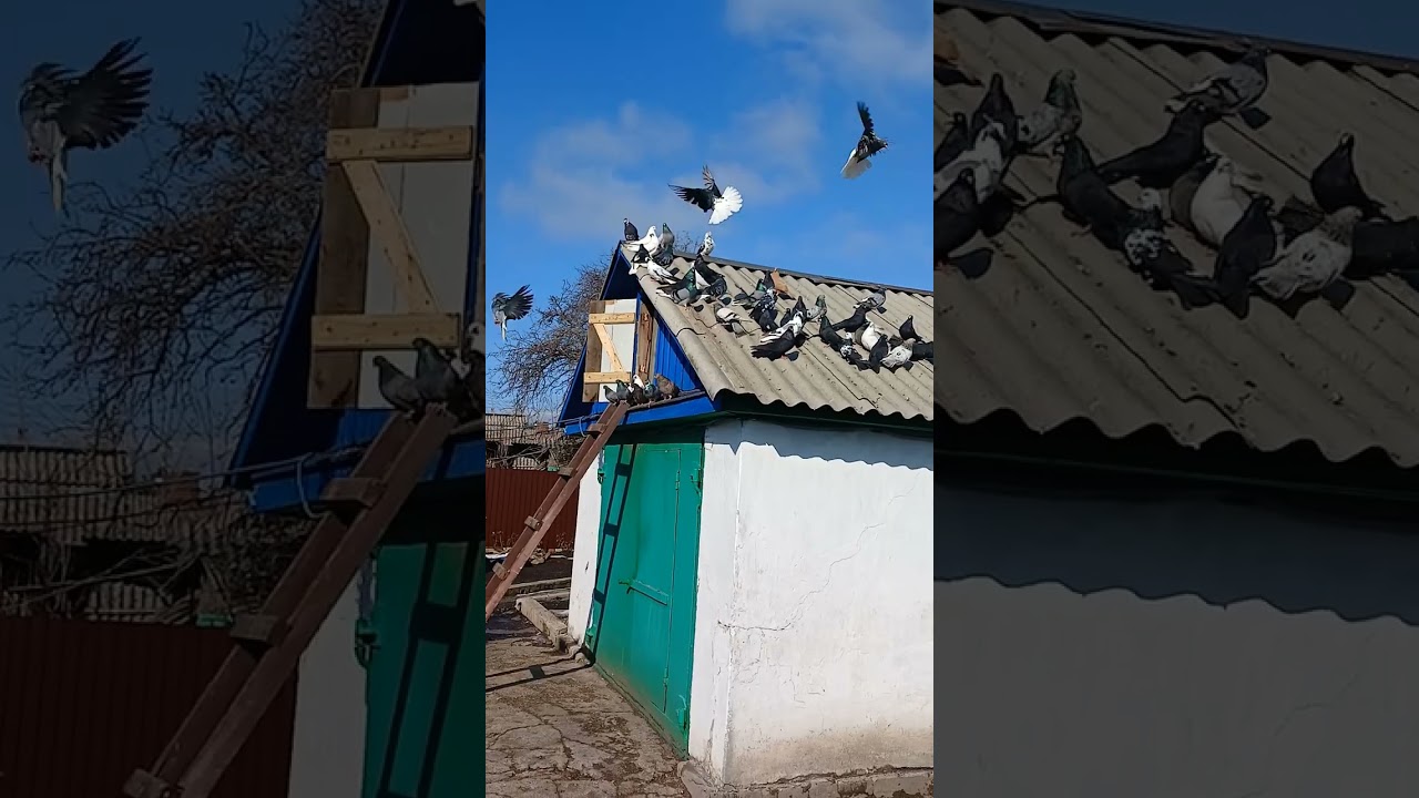 Первый чужой 