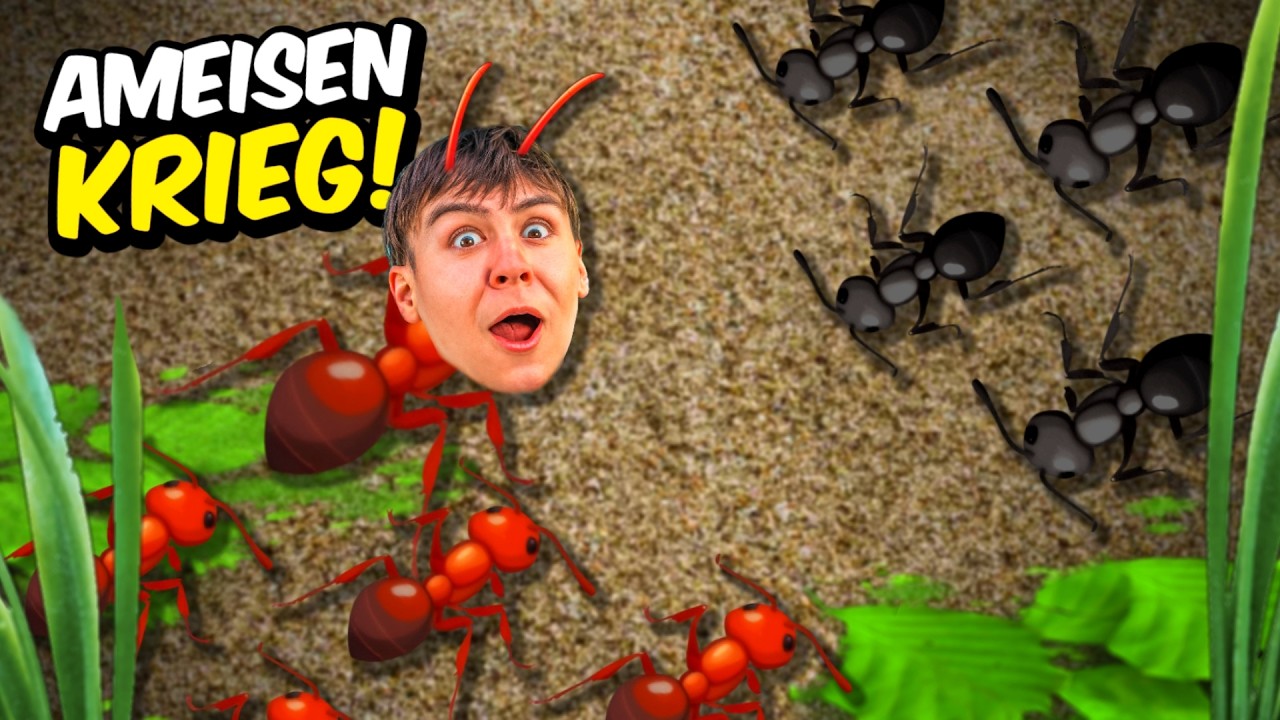 ICH GREIFE EIN FEINDLICHES AMEISENVOLK AN!  - Pocket Ants