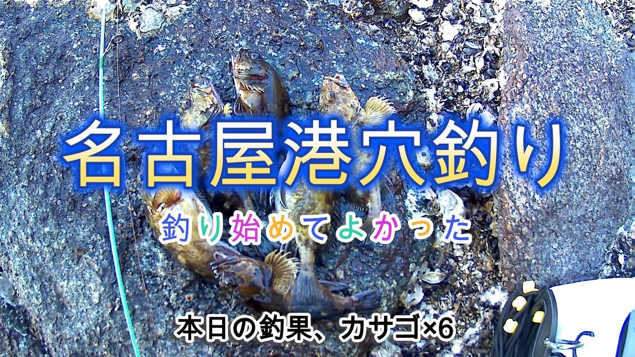 名古屋港穴釣り⑮2026/2/21