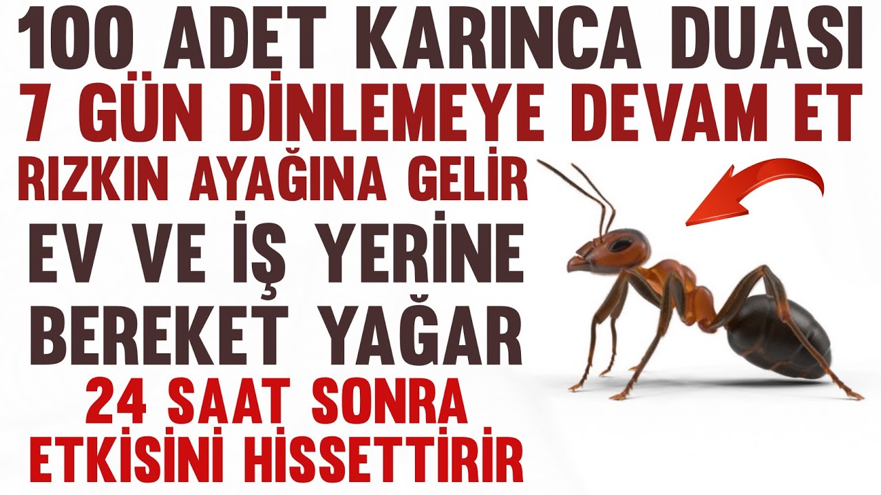 100 Adet Karınca Duası Mucizesi ile Bereket Yağacak Biiznillah! Evde,iş yerinde rızkın ayağına gelir