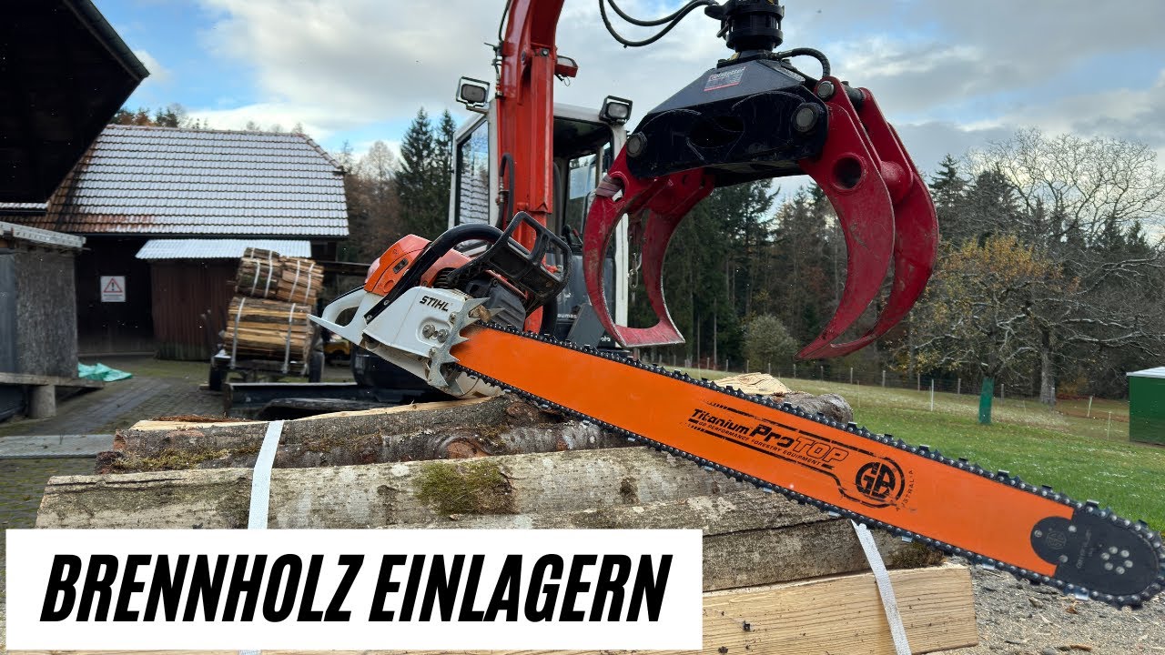Brennholz sägen mit Stihl ms 660 mit 90cm Schwert und einlagern im Keller mit Bagger. Halbsterbündel