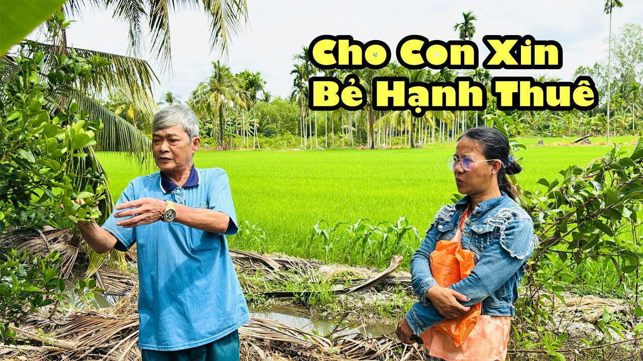 Lần đầu tiên xuống thăm chú giá gặp ngay chủ vườn hạnh vui vẻ quy liền xin bẻ hạnh thuê 