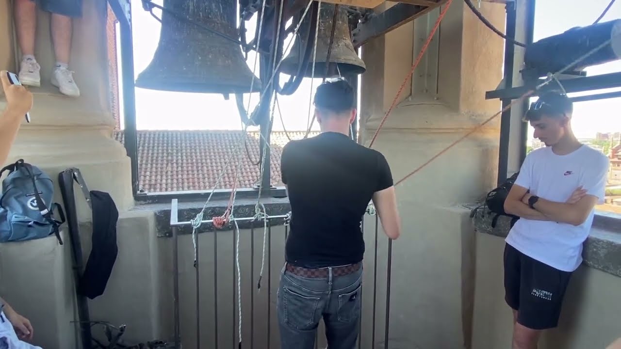 Le campane del Duomo di Pavia