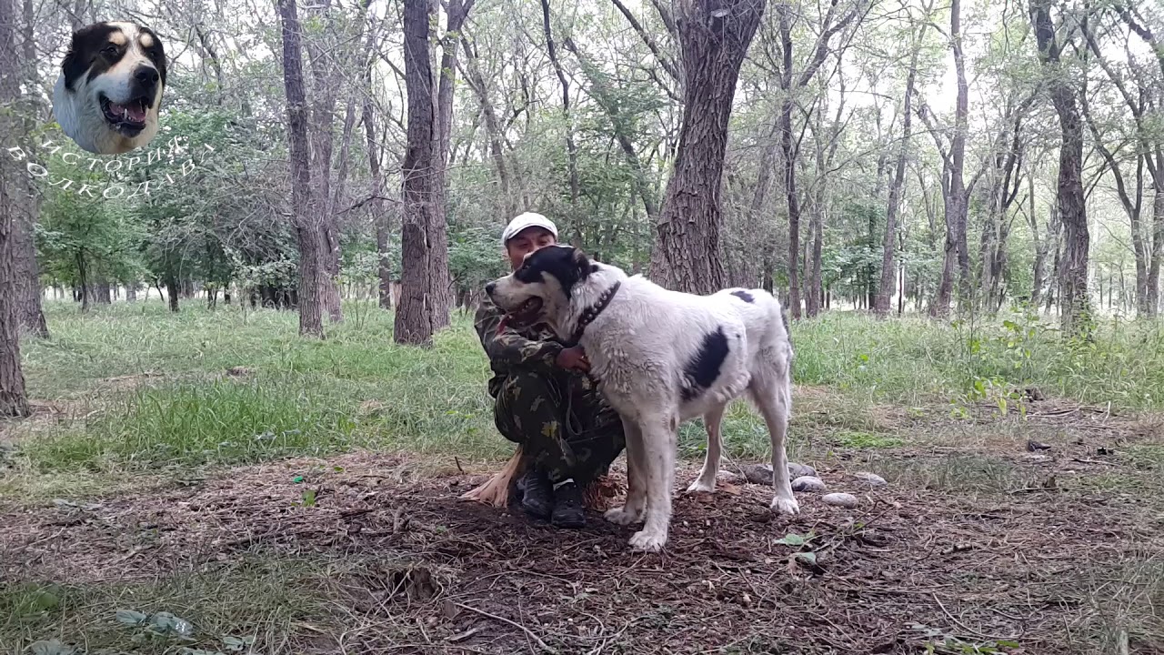 БИТЬ или не БИТЬ, вот в чем вопрос!