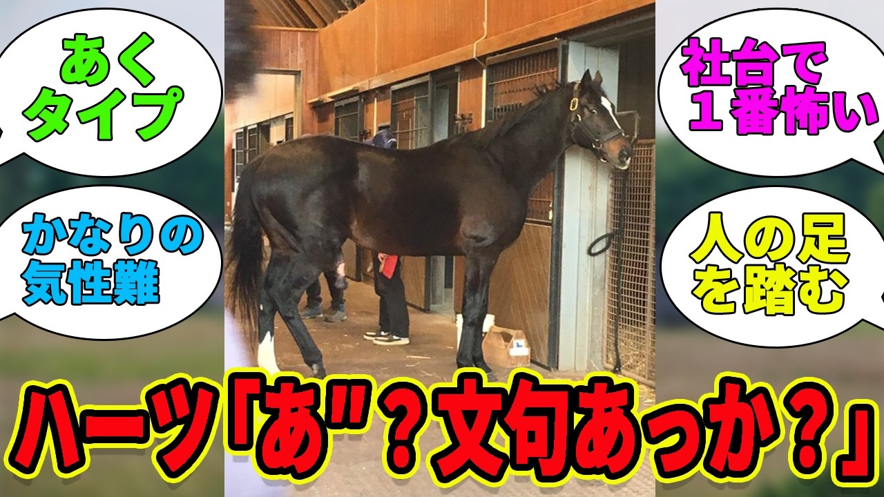 【ハーツクライ】俺様気質のワルい男だった！？に対するみんなの反応集【競馬の反応集】