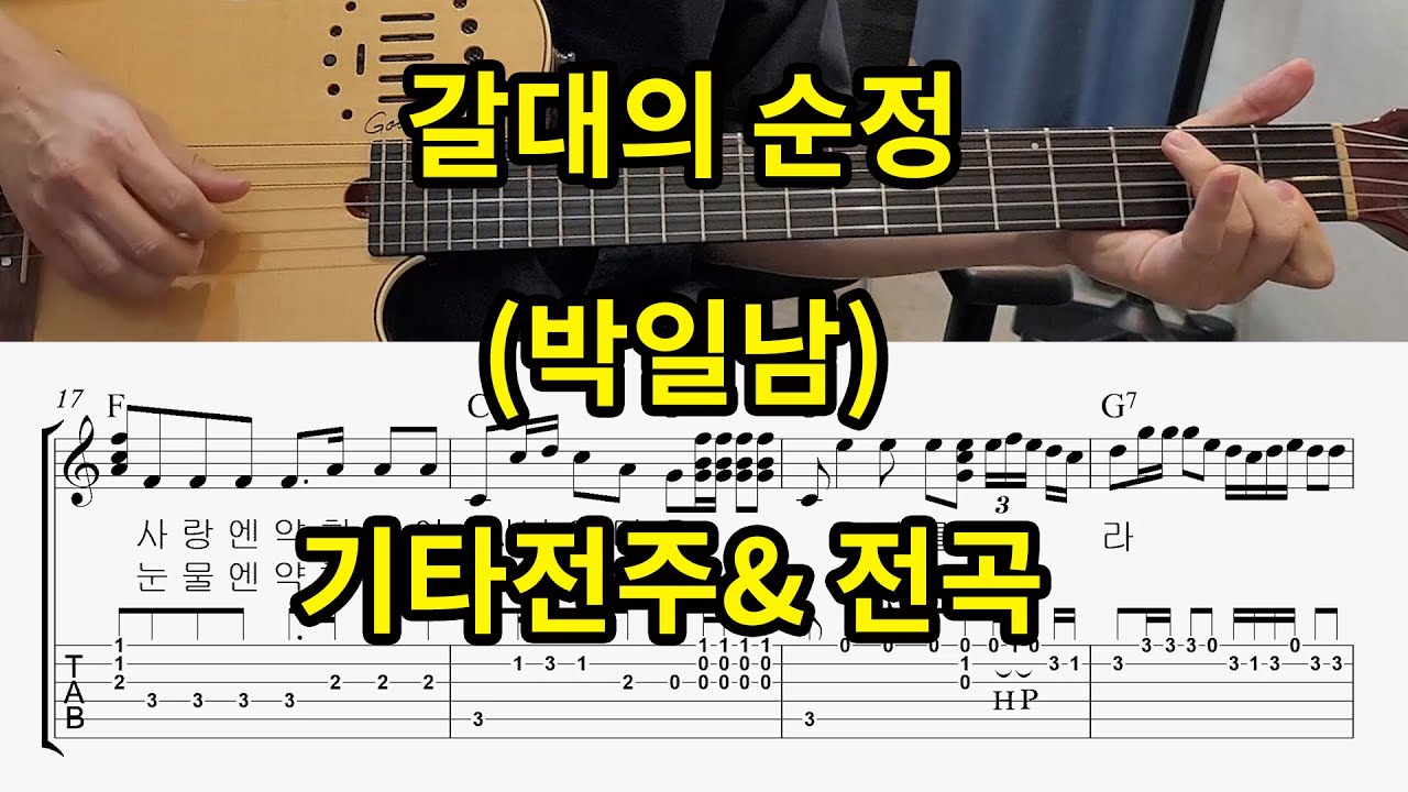 [트로트기타] 갈대의 순정 (박일남)-전주&전곡