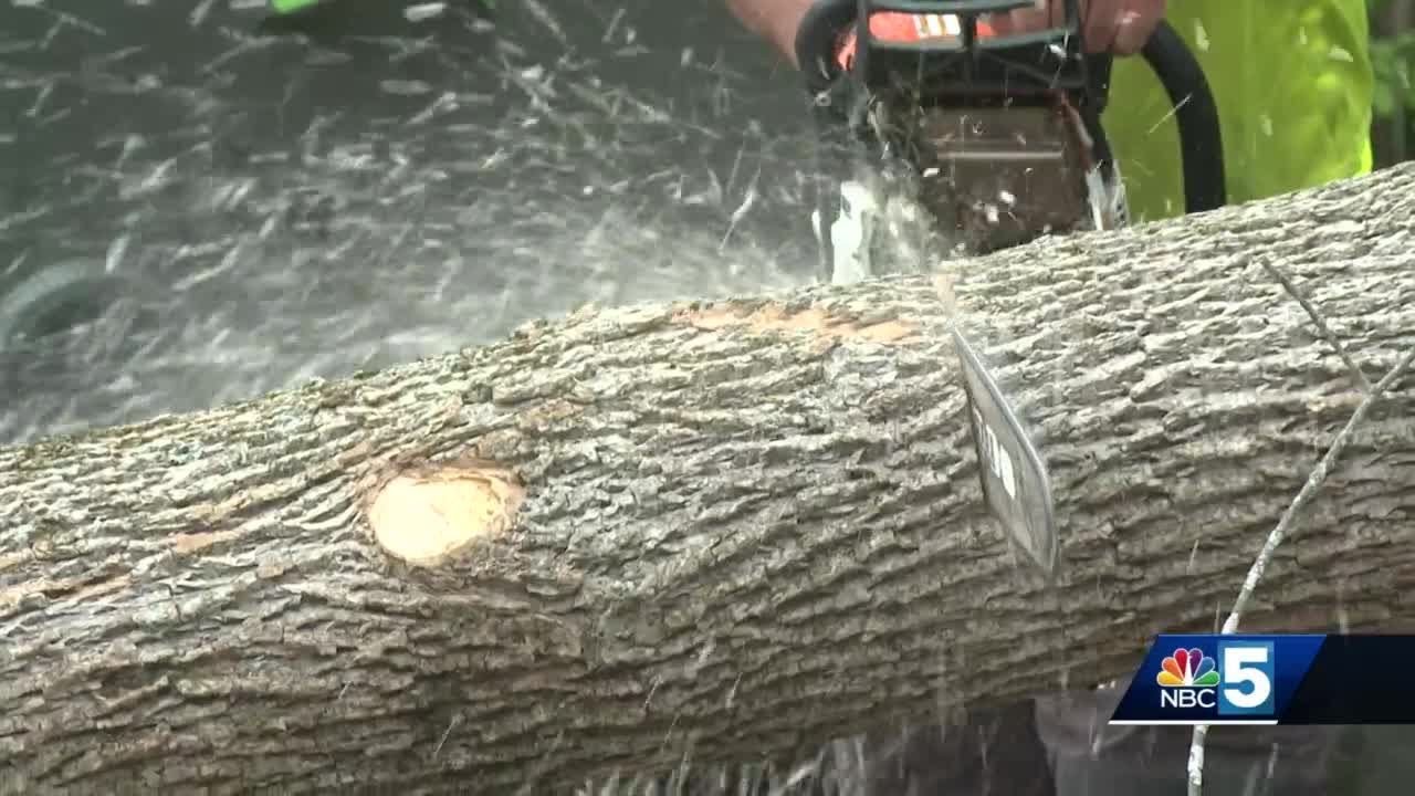 Local experts recommend leaving some tree-cutting jobs to trained professionals