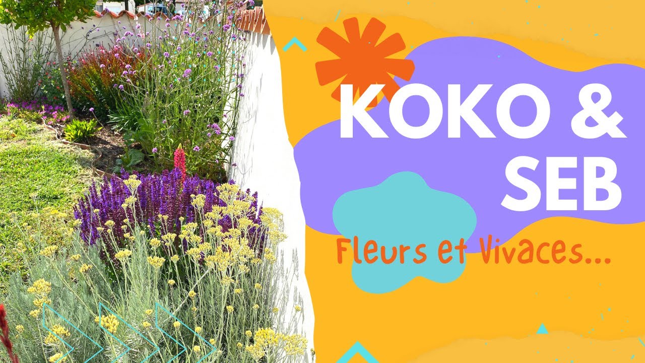 Tour du jardin fin mai... Des vivaces et plein de couleurs