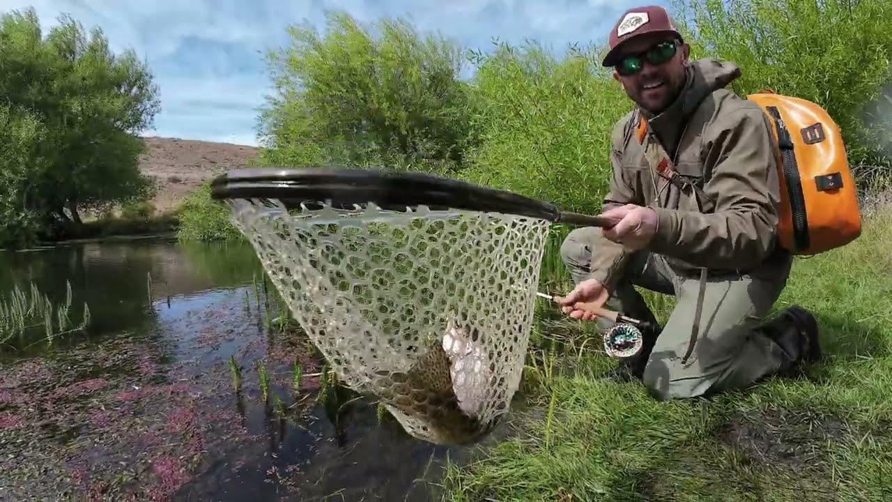 PTO Day 2 // Gualjaina Creek Fishing