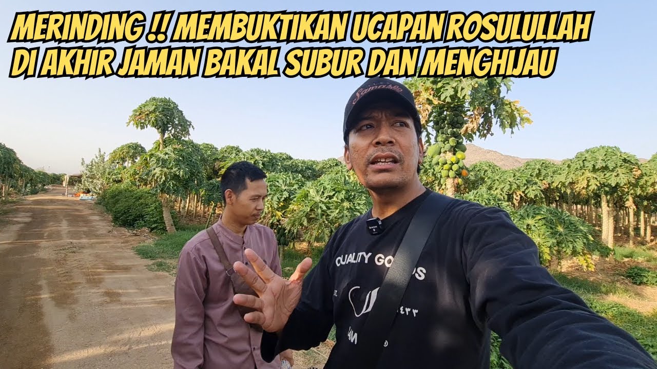 MERINDING !! MELIHAT PINGGIRAN MAKKAH SEMAKIN SUBUR DAN MENGHIJAU