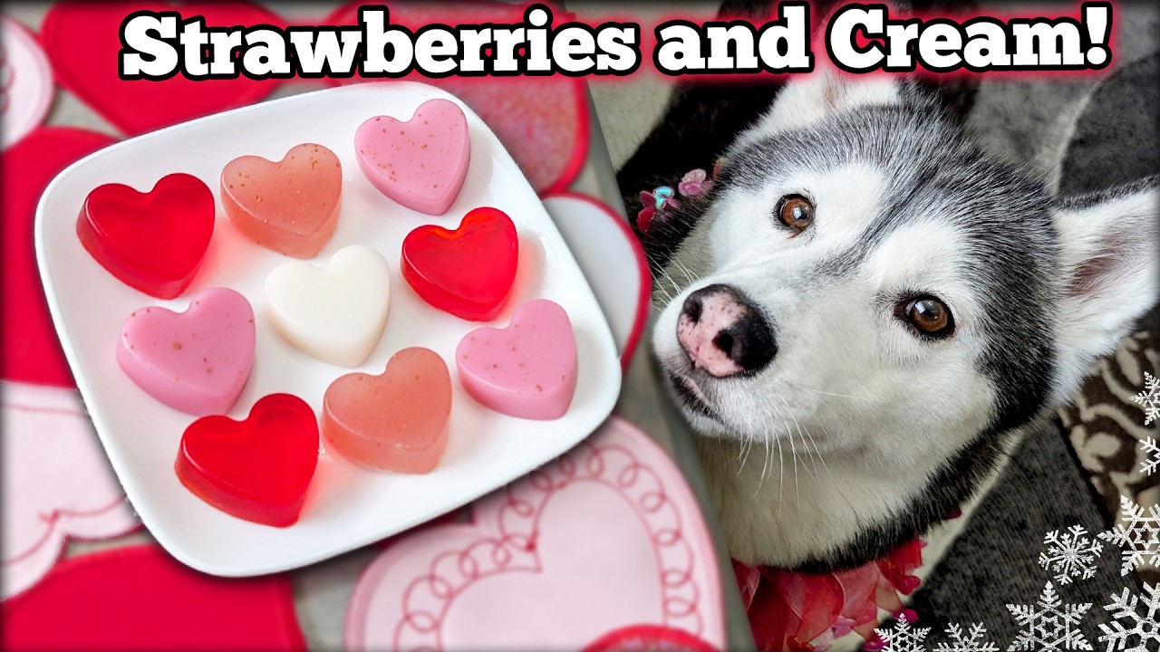 Valentine's Day Strawberry and Cream Gummy Dog Treats ❤️ DIY Dog Treats