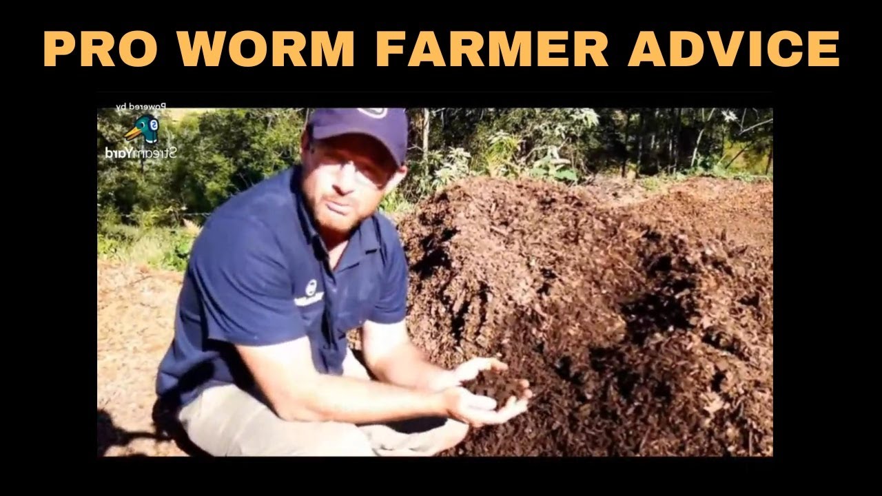 The Ultimate Pro Worm Bedding: Wood Chips for Maximum Benefits!