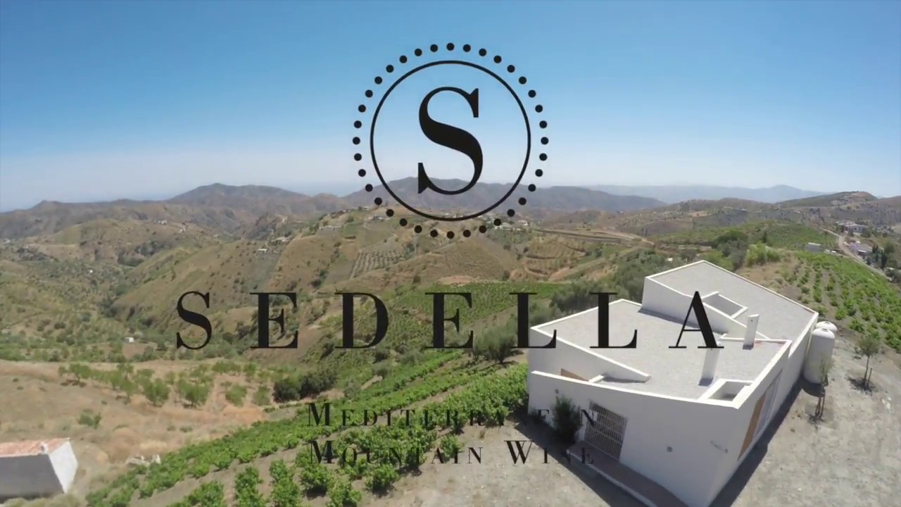 Bodega Sedella, Axarquía, Sierras de Málaga, Spain. VINEYARDS ANDDrone 4K