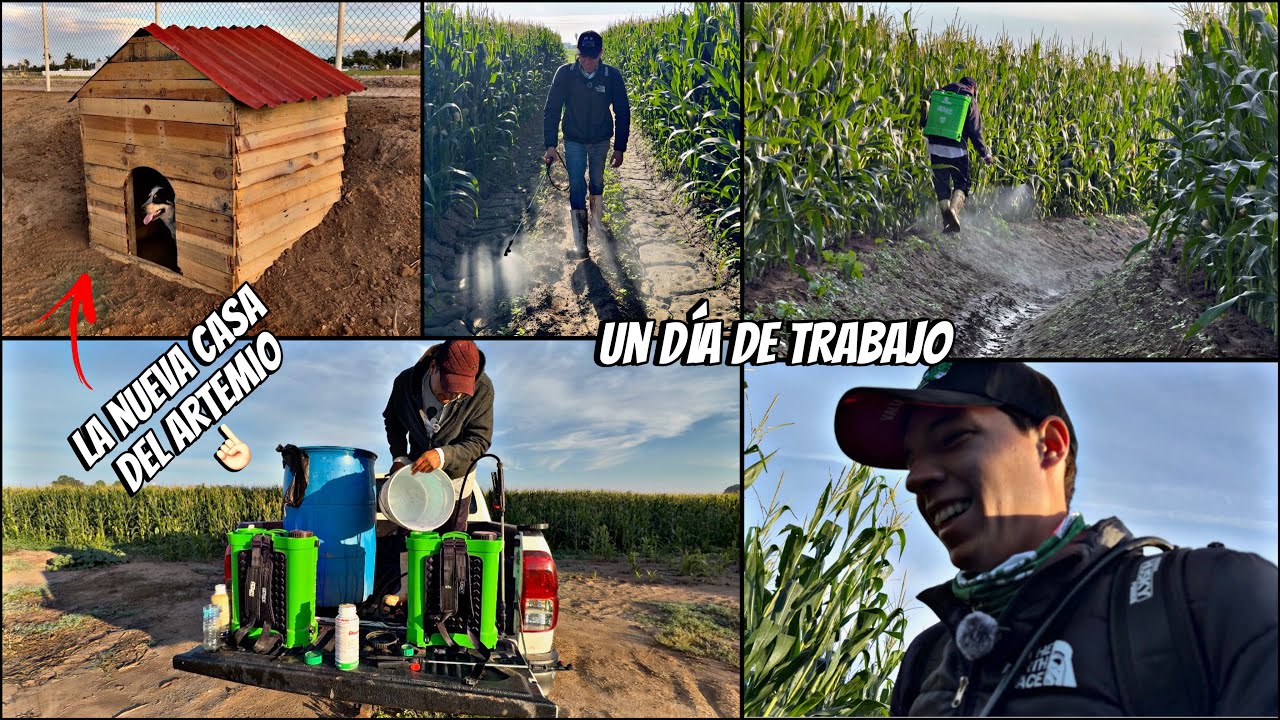 UN DÍA DE TRABAJO CON JUAN LOCO Y LE LLEVAMOS LA NUEVA CASA AL ARTEMIO ‼️