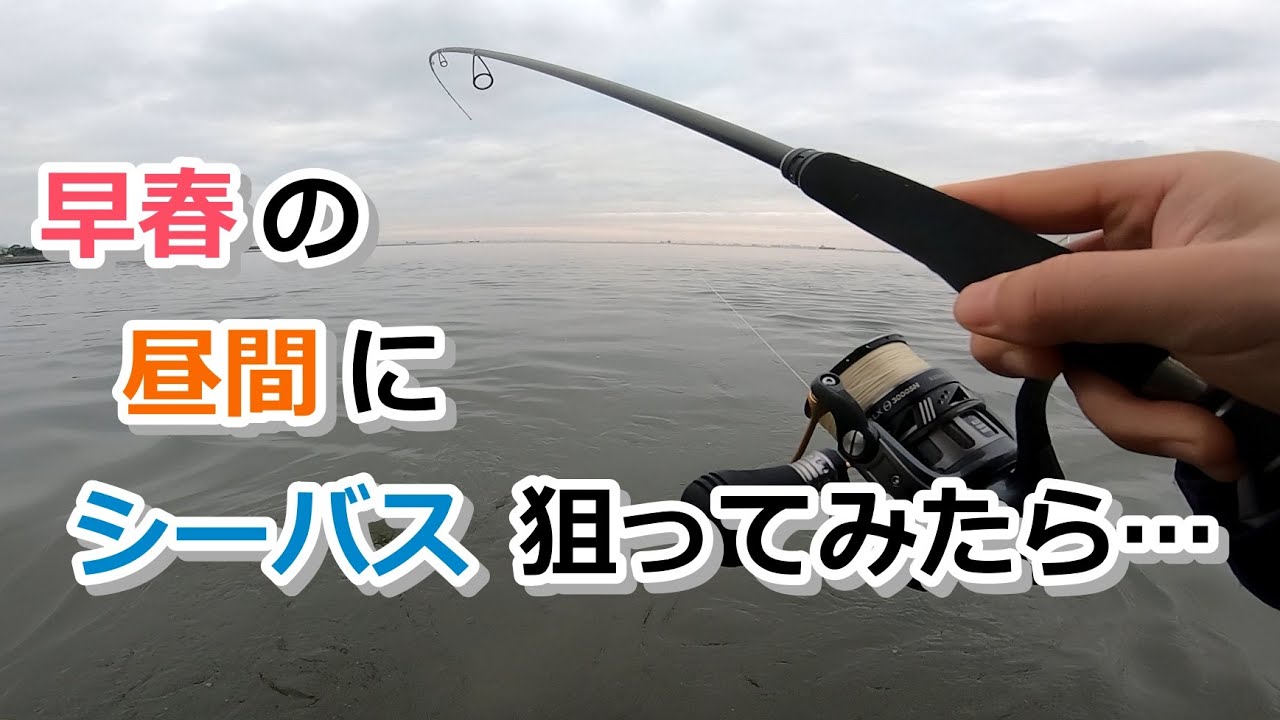 早春の昼間にシーバス狙ってみたら…【2024年2月4日】