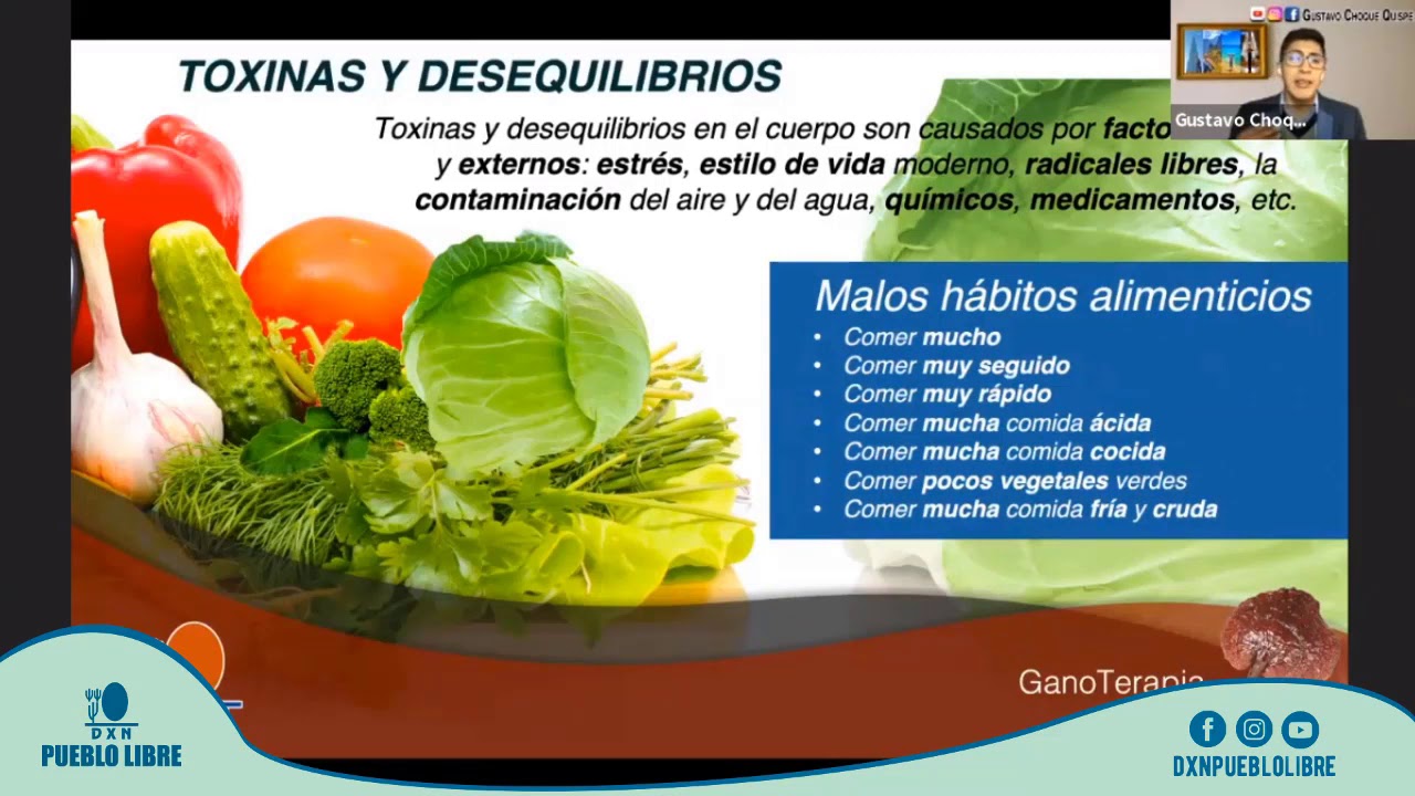 DXN PERU | LA GANOTERAPIA CON DXN -  GUSTAVO CHOQUE