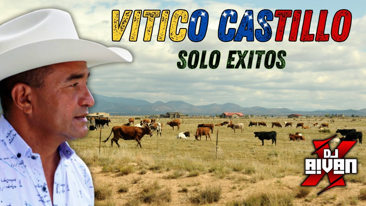 LLANERAS VITICO CASTILLO ÉXITOS DJ AIVAN 🔔🔥