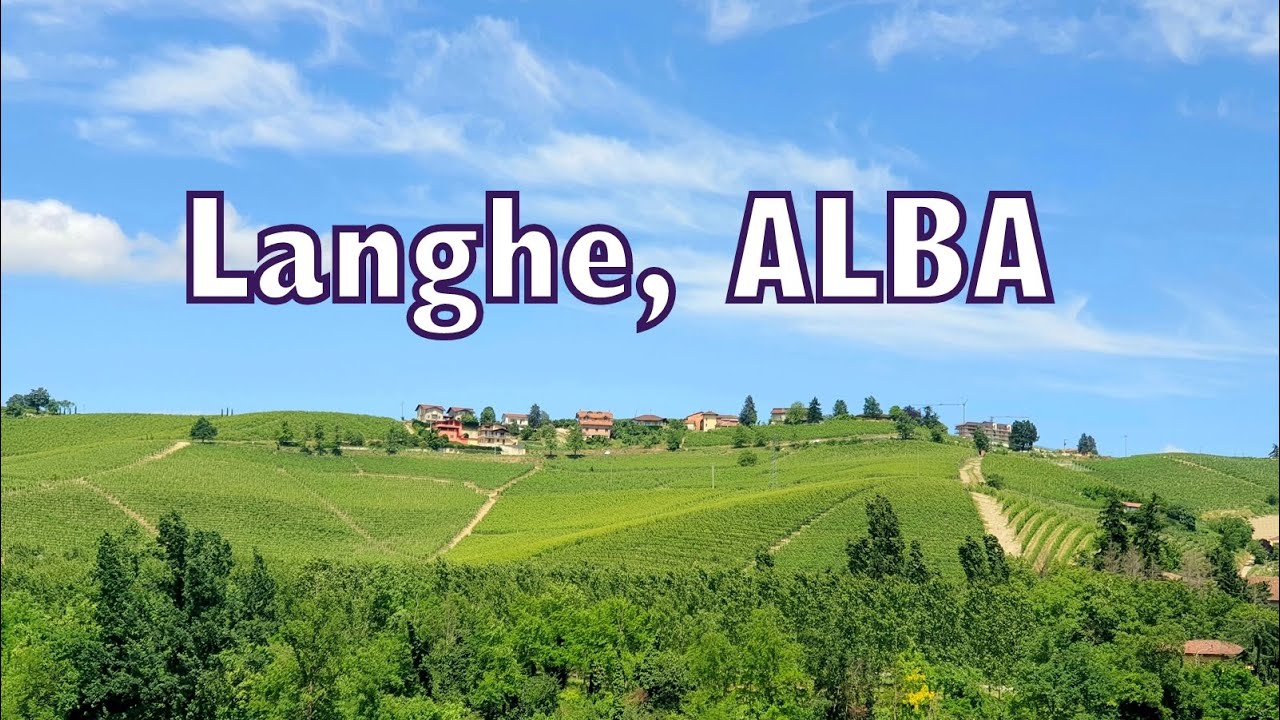 Langhe, Alba | Discover Alba | Langhe | Alba Tartufi Vini e Nocciole | Cuneo, Langhe, Piedmont Italy