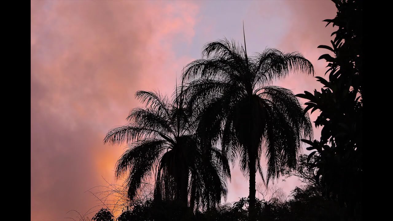 MIGUEL PEREIRA-CURTINDO A NATUREZA
