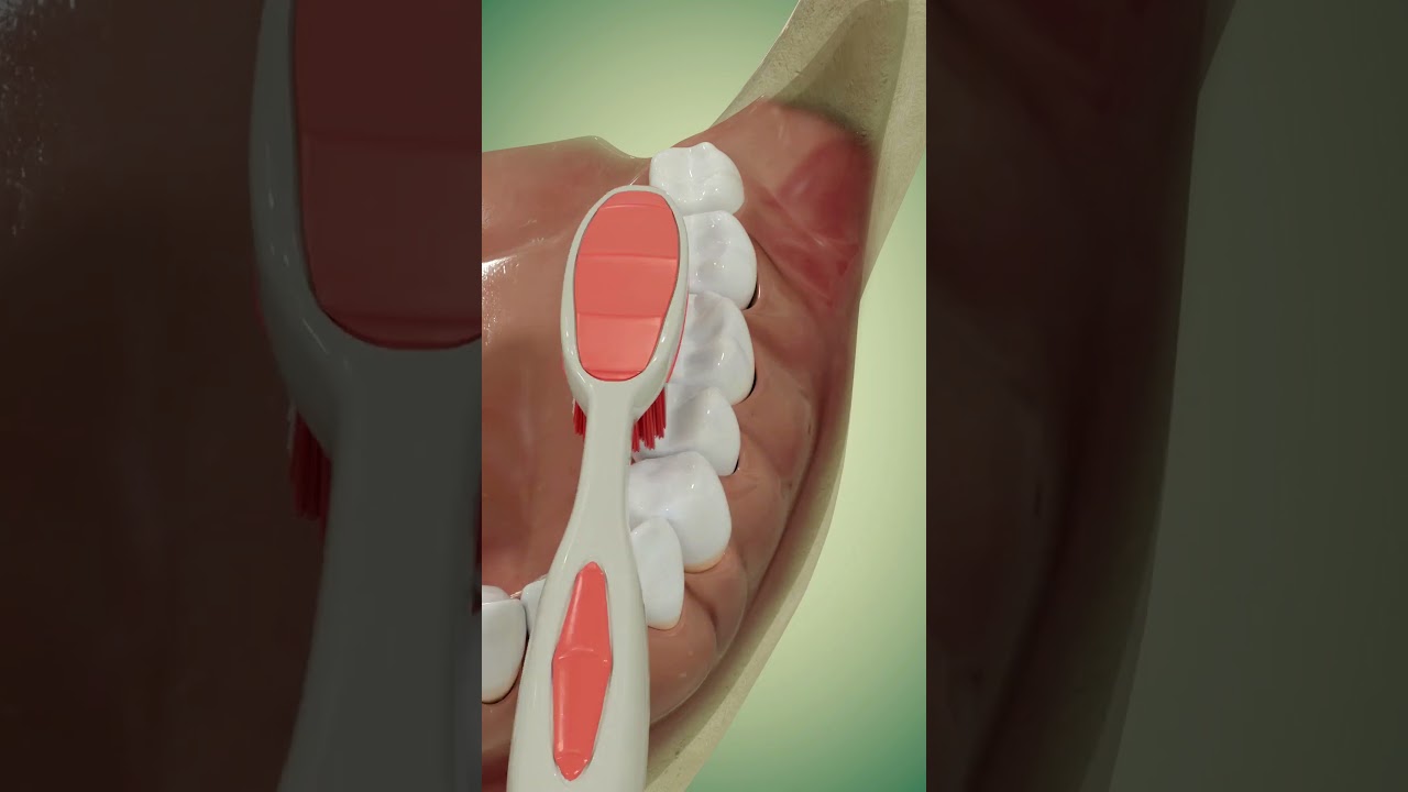 Tooth brushing, Oral Hygiene, Bass Method   