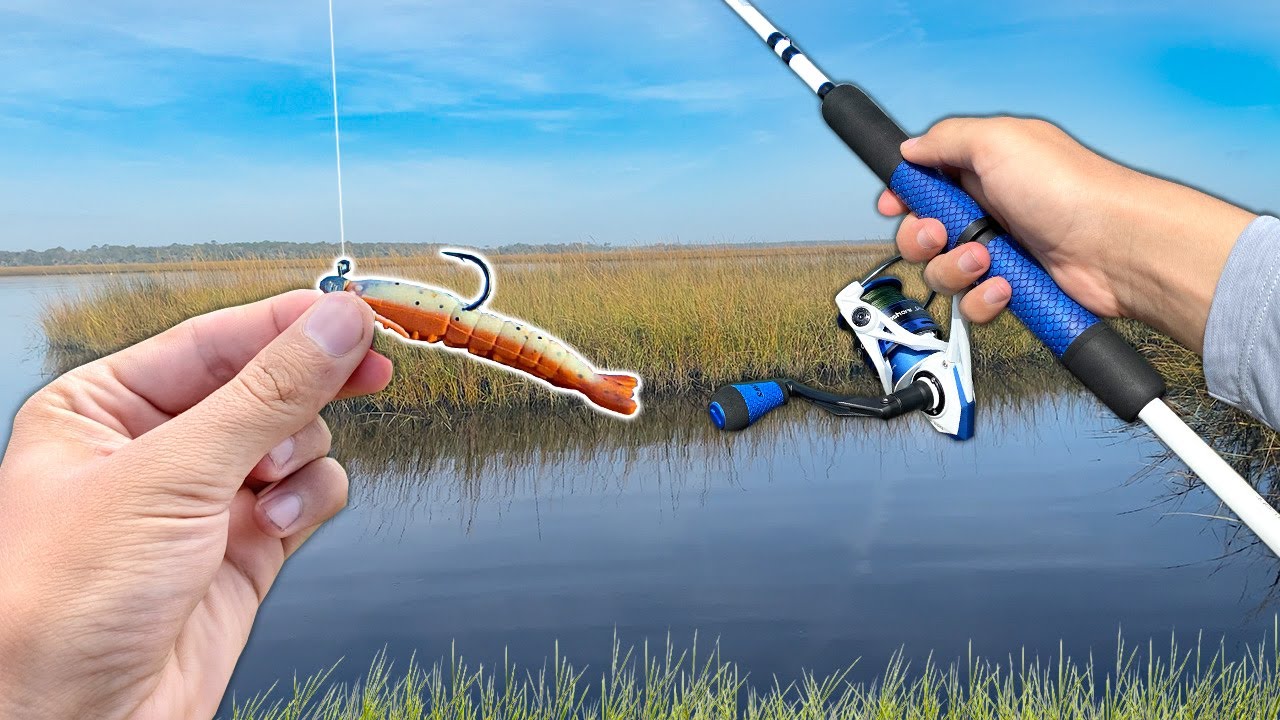 These Saltwater Creeks are LOADED w/ Fish!! (Saltwater Fishing)