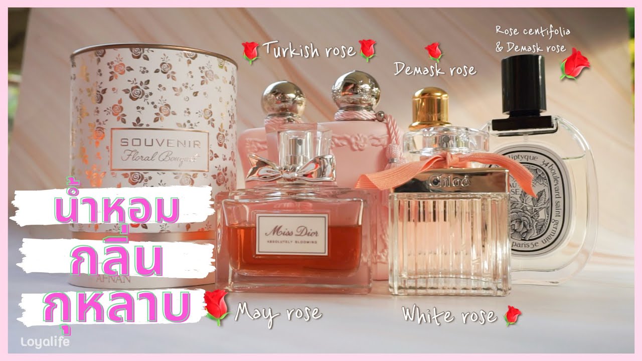 รีวิวน้ำหอมกลิ่นกุหลาบ🌹✨ | Delina, Diptyque, Chloe, Ysl, Miss dior 💕