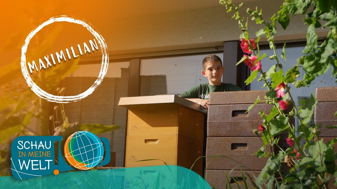 Maximilian und seine Bienen | Schau in meine Welt! | Mehr auf KiKA.de