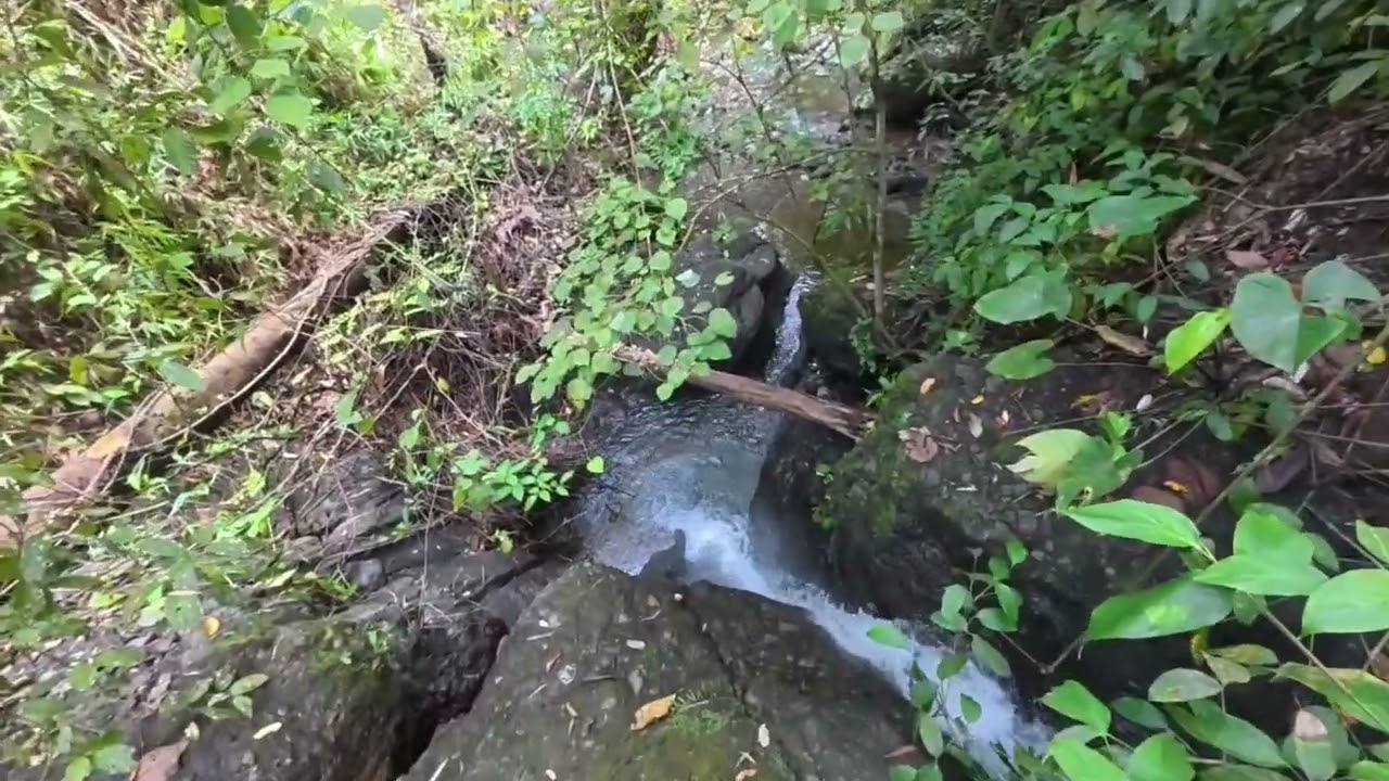 The beauty of nature's @mt mayapay 