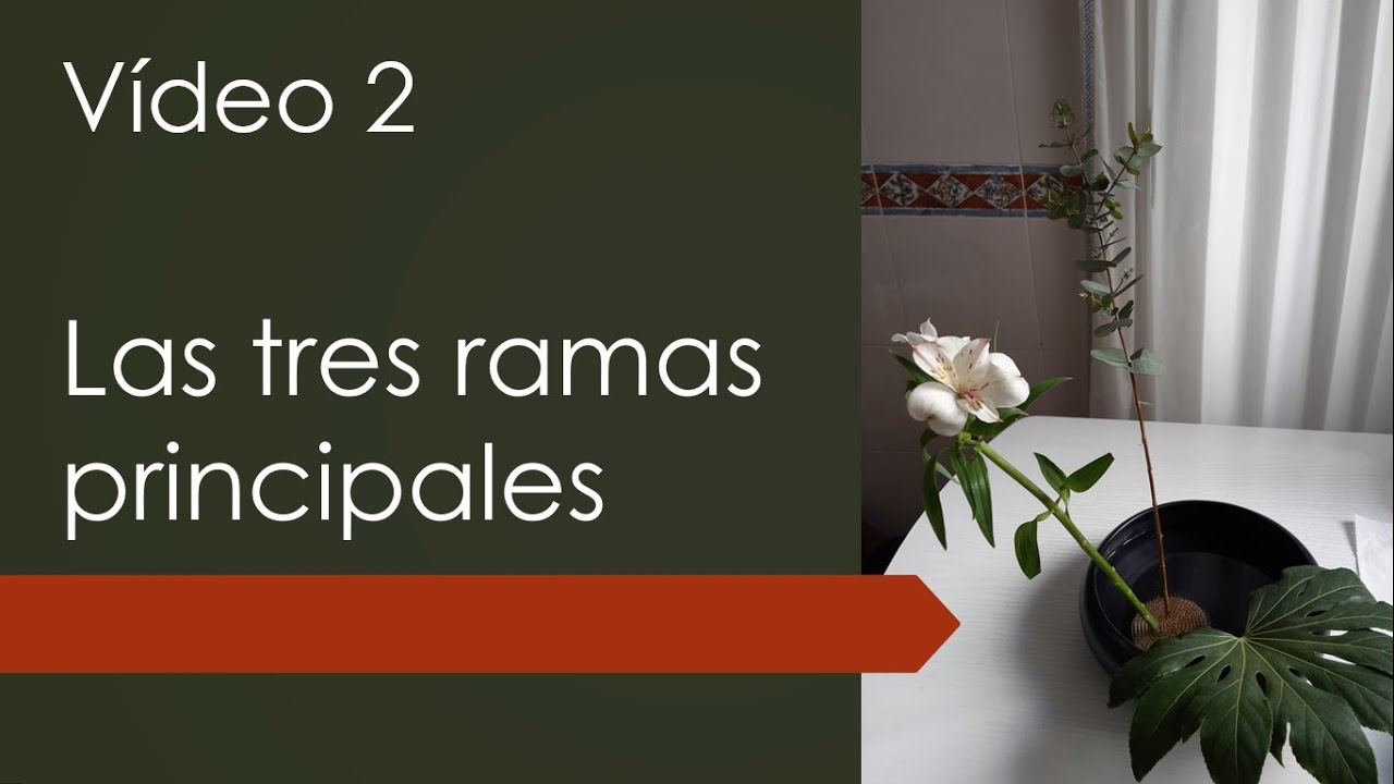 CURSO FÁCIL DE IKEBANA 2