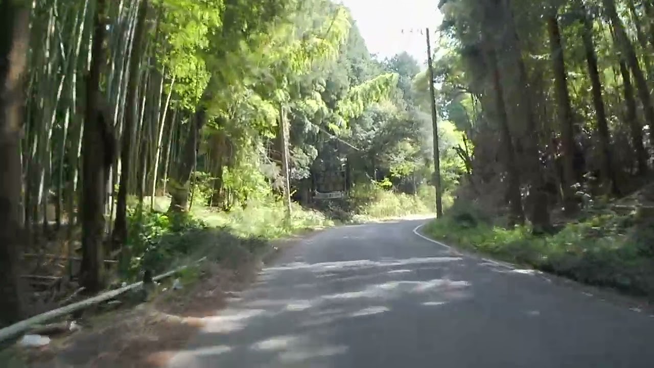 【森林浴ドライブ】千葉県木更津市伊豆島～かずさ鎌足【車載動画】