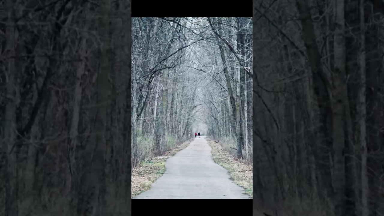 Our Nature Photo Walk