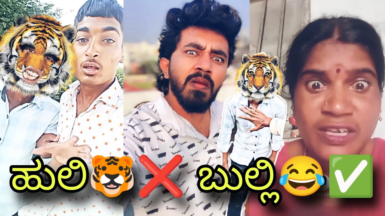 ಈ ಹುಲಿ ಕಚ್ಚಿದ್ರೆ ರೇಬಿಸ್ ಅಲ್ಲ ಉಡೀಸೆ😳😵||ಹೆಬ್ಬುಲಿ R.O.A.S.T😂🤣||ursteajuice