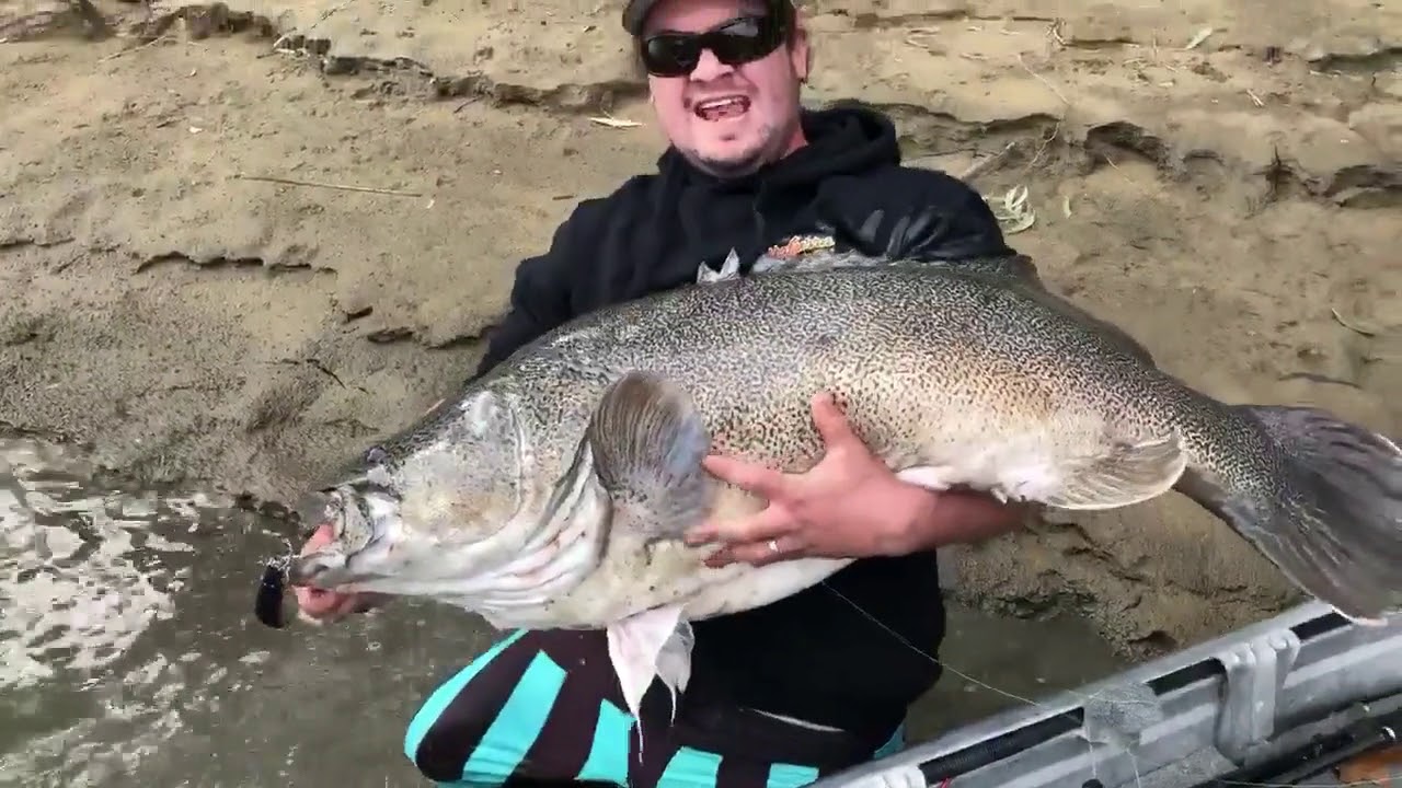 Kyle 117cm
