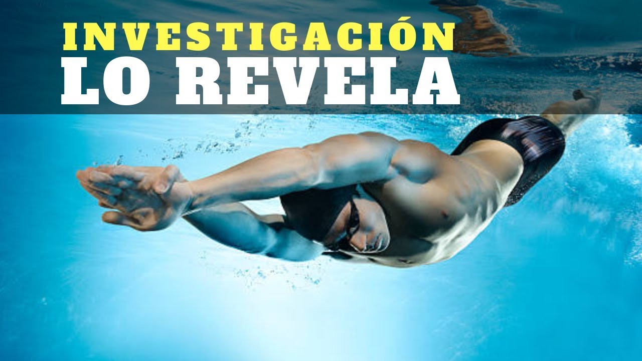 🔵🦈 Como nadar bien y r&aacute;pido : Plan de entrenamiento anual