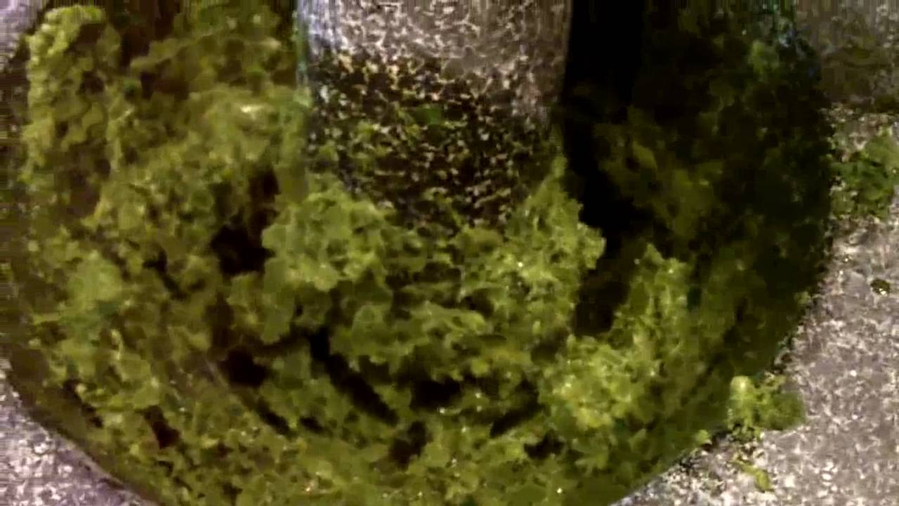 How to make a Basil Pesto with a Mortar and Pestle