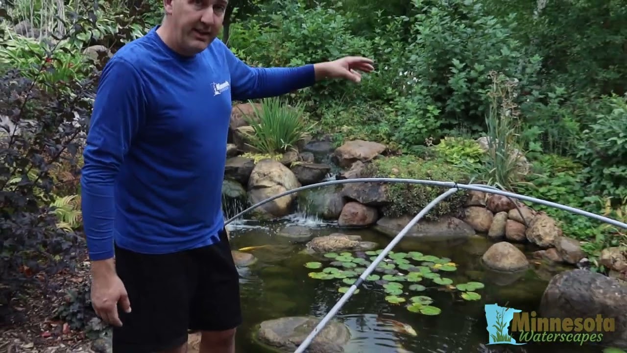 How do I keep the leaves out of my koi pond in fall? Fall Netting