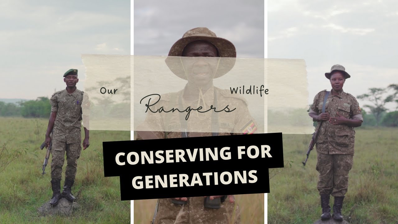 Uganda Wildlife Authority Rangers Help In Our Struggle To Protect Wildlife