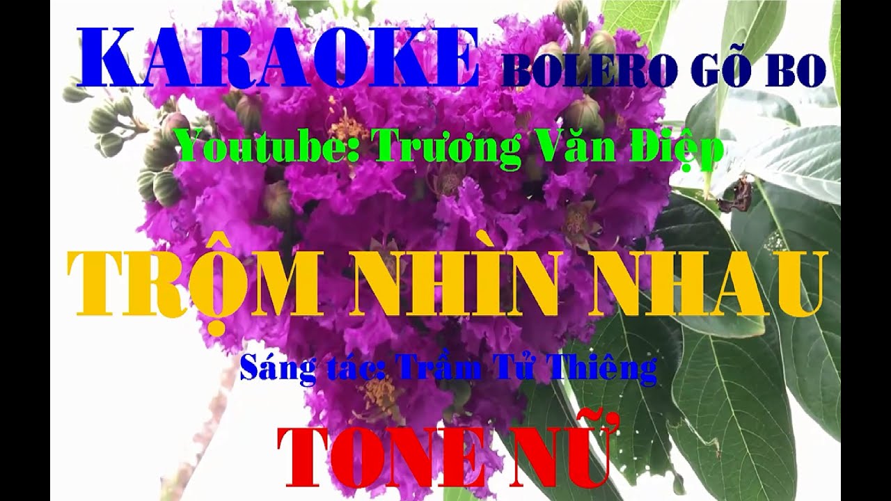 Karaoke Trộm Nhìn Nhau Tone Nữ Gõ Bo | Trương Văn Điệp