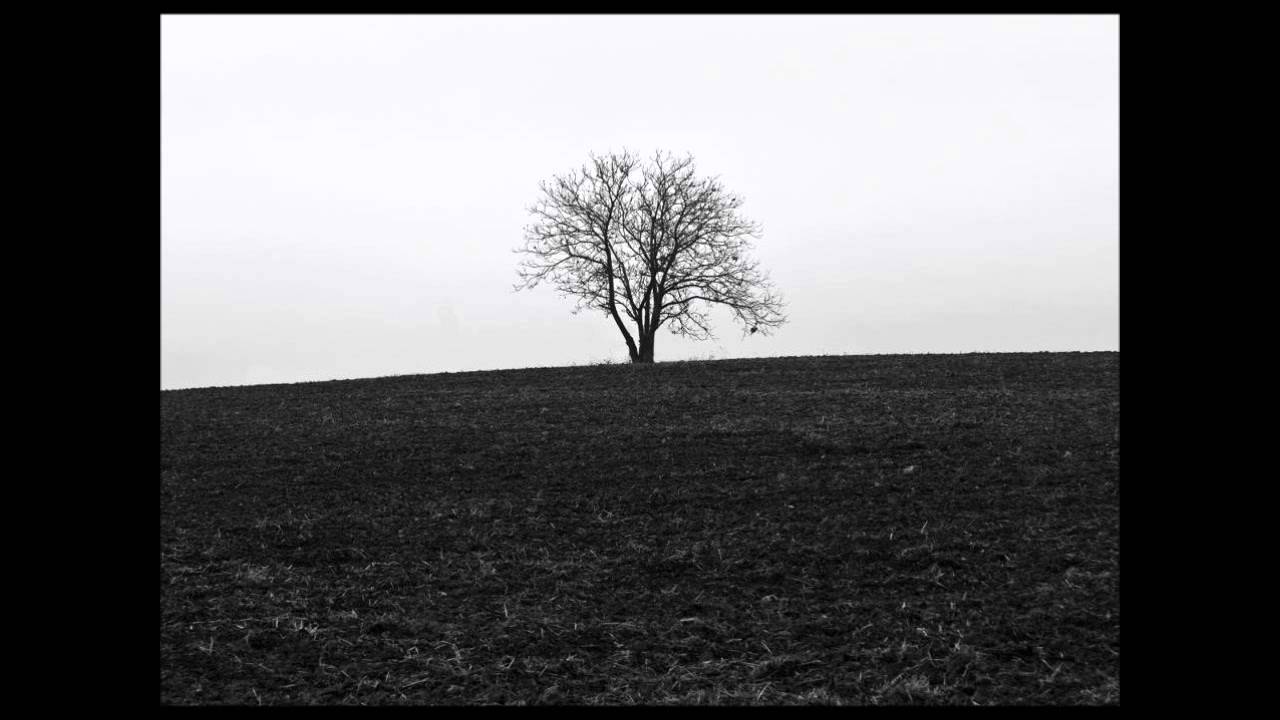 Aetherian - Whispers in the Wind