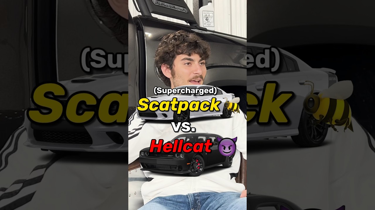 Supercharged Scatpack 🐝 VS Hellcat 😳 #shorts