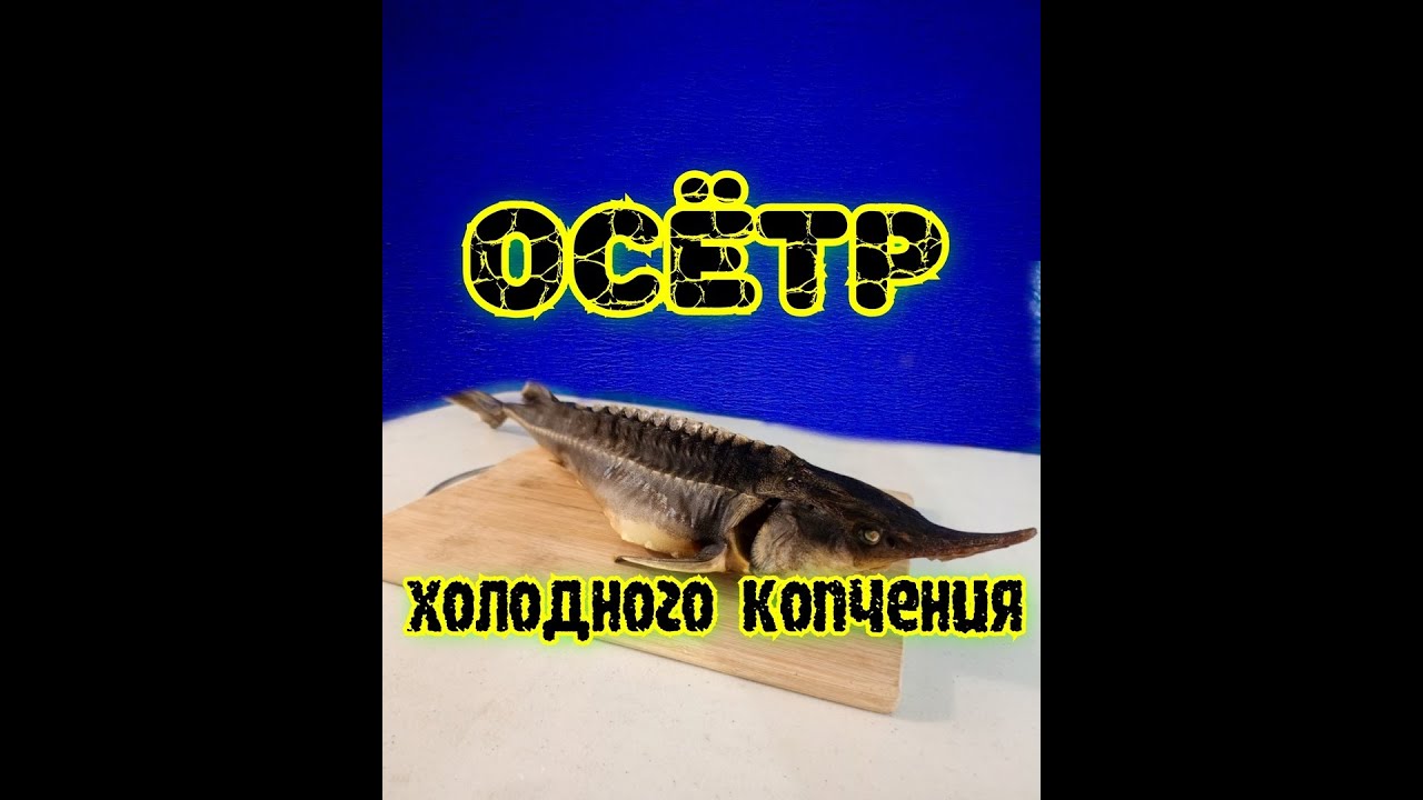 осетр холодного копчения