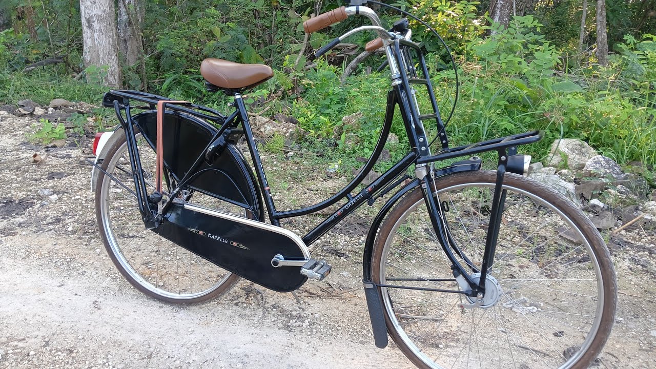 Sepeda Gazelle Tour Populair Dames