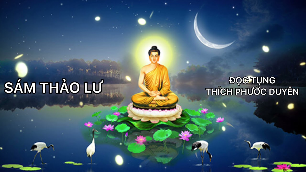 S&Aacute;M THẢO LƯ : ĐỌC TỤNG : TH&Iacute;CH PHƯỚC DUY&Ecirc;N