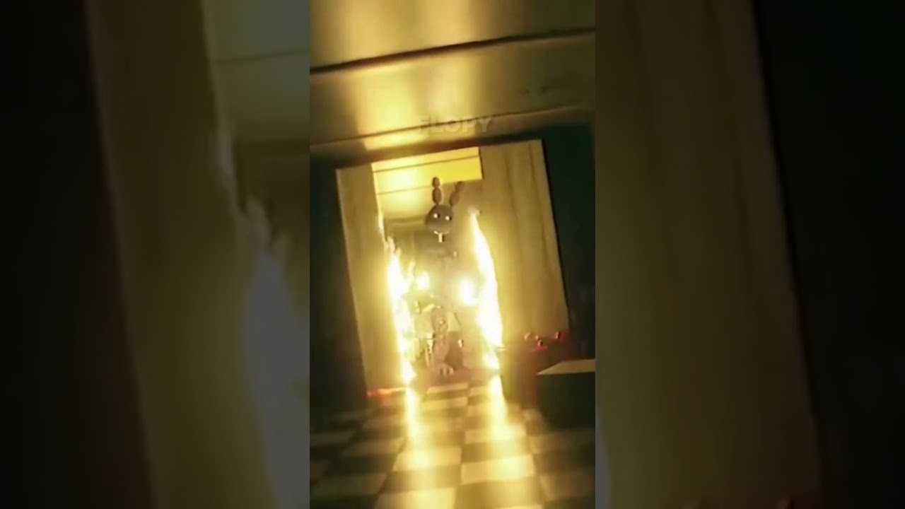 As FITAS VHS MAIS ASSUSTADORAS de FNAF! 