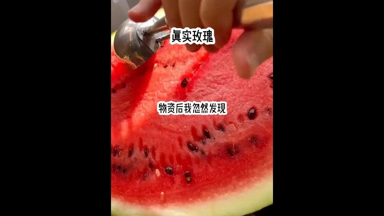 真实玫瑰 #番茄畅听 #小说推荐 #小说 #文荒推荐 #末世