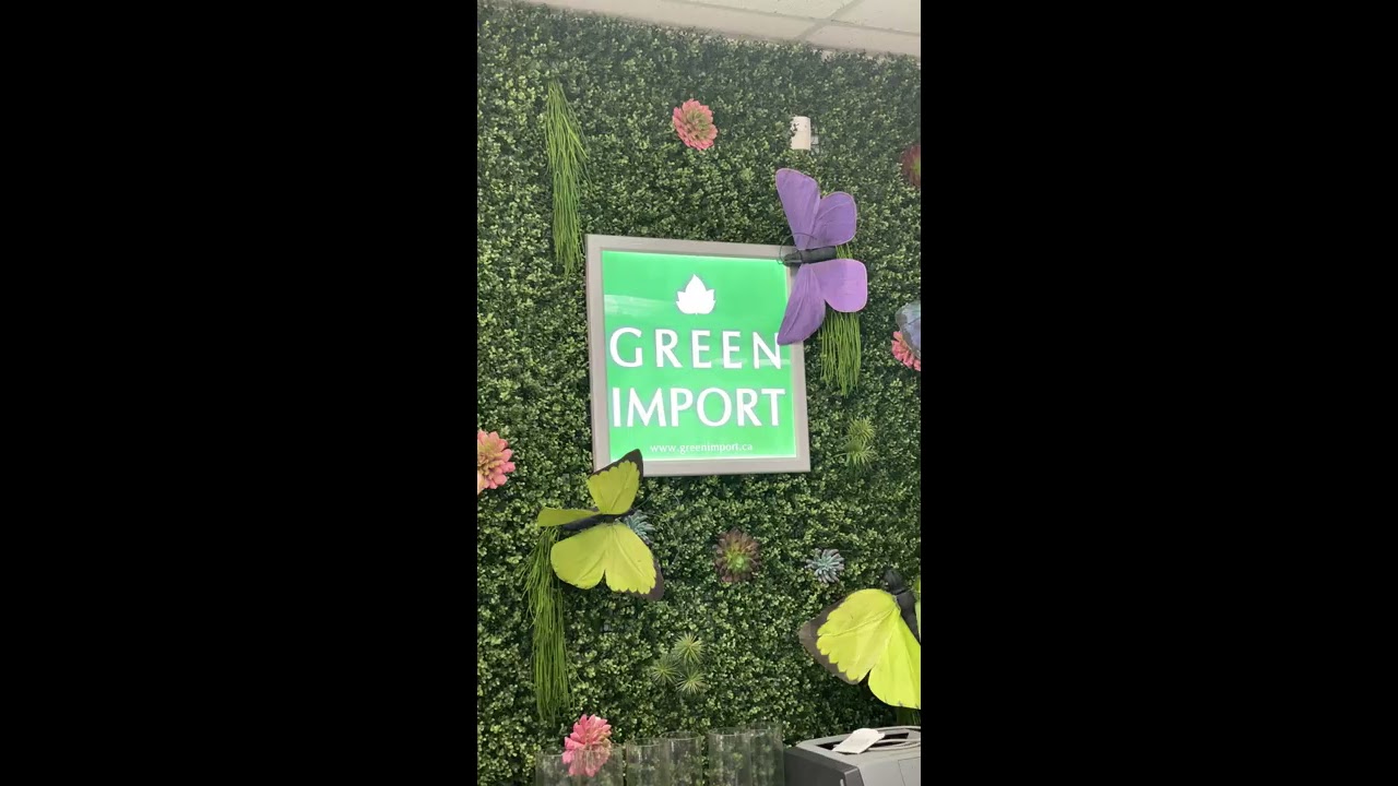 Green Import Limited Showroom Walkthrough