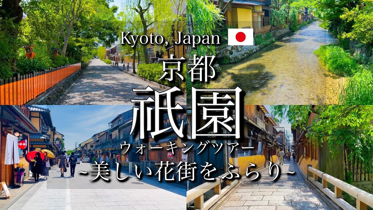 [京都|Kyoto]祇園白川、花見小路を散策｜美しい花街を観光｜