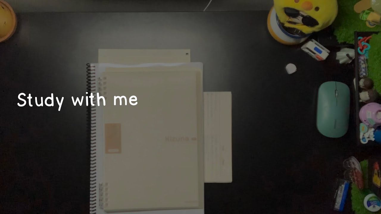 1 HOUR Study with me | white noise (nature sounds) | alarm + timer