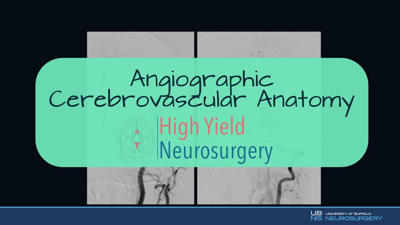 Angiographic Cerebrovascular Anatomy
