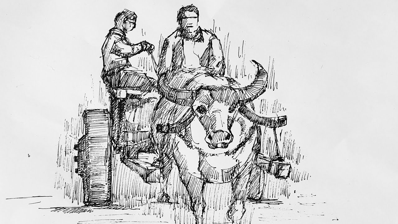 Buffalo Cart drawing step by step